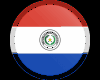 Paraguay T-Shirt