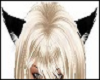 Black Cat Ears