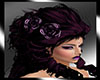 Violet rose Hair