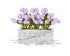 White Brick Tulip Box