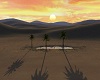 desert romantic