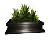 SWS Twilight Potted Fern