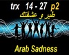 Arab Mashup - Sad - P2