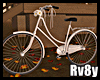 [R] Basikal Tua
