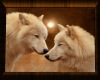 [K] Love Wolfs