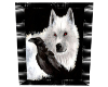Wolf & Raven