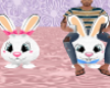 Easter Bunny Hop Racers