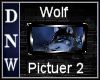 NW Wolf Picture 2