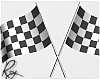 Racing Checkered Flags