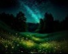 Night fireflys wall