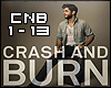 (C) Crash and Burn