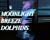 Moonlight BreezeDolphins