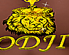 CUSTOM ODJI