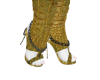 Unas V2