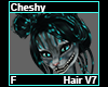 Cheshy Hair F V7