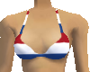Dutch flag bikini