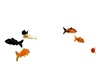 ZEN : Fishes animated
