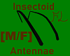 Insectoid Antennae [M/F]