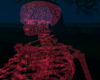 Red Skeleton M/F