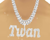 Twan custom