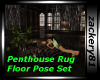 Penthouse Rug Pose Set