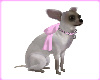 Chihuahua Pup Pink Bow