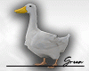 J. Real Duck