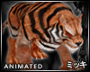 ! Bengal Tiger Animated