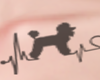 tatto poodle