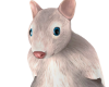 Il RATZ LAB Pink
