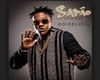 Doidelicia - Mc Sapao
