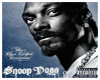 snoop dogg -i want you