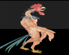 Rooster full outfit
