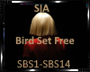 *Sia-Bird Set Free