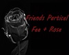 paricel Fee/Rose