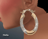 !H! Gold Earrings/dev