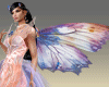 (7K)AnimButterfly Wings
