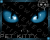 Blackblue Kitty1a Ⓚ
