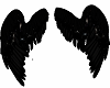 Black Angel Wings 4u