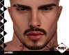 DC..THEO HEAD