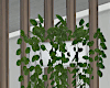Wall Divider
