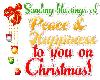 Peace @ Christmas