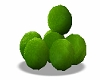 Limes