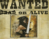 wanted pirate woman