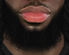 Asteri Beard #036