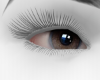 Them Eyes | ASII