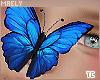 м| Bleuet .Butterfly