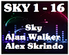 Sky-Alan Walker