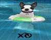 Puppy Pool Float