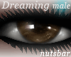 n: dreaming dark brown